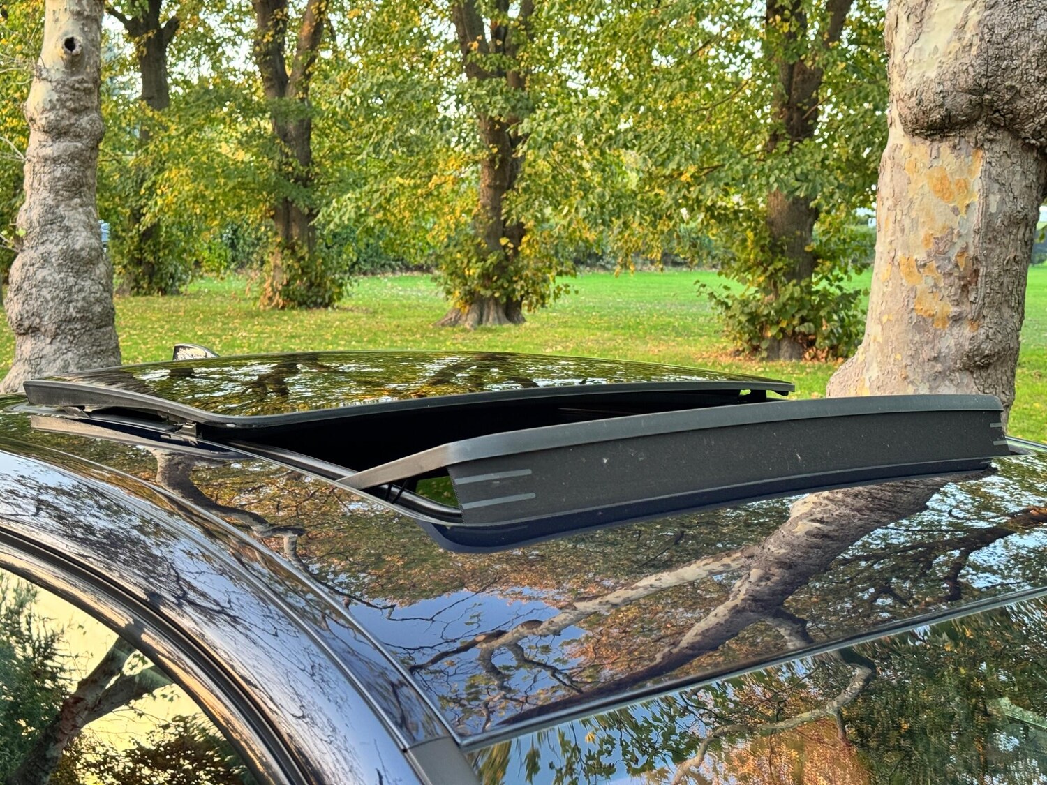 Used BMW X4 for sale - 77753927: Photo 30