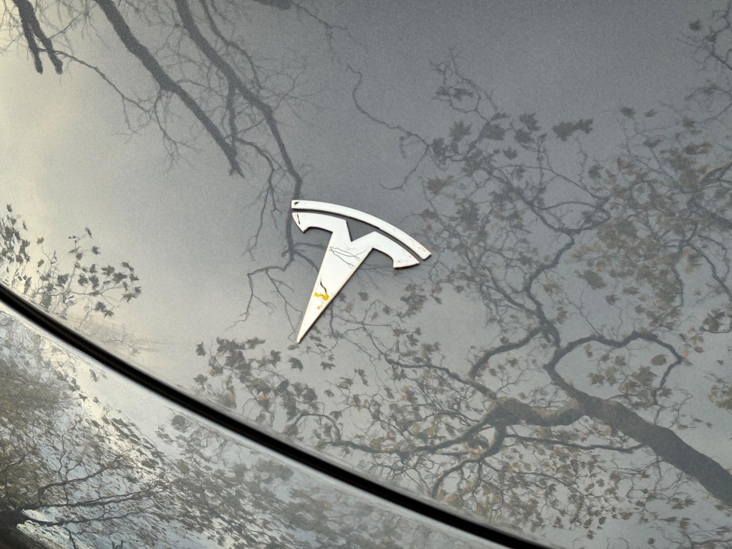 Used Tesla Model 3 2020 for sale - 77020835: Photo 29