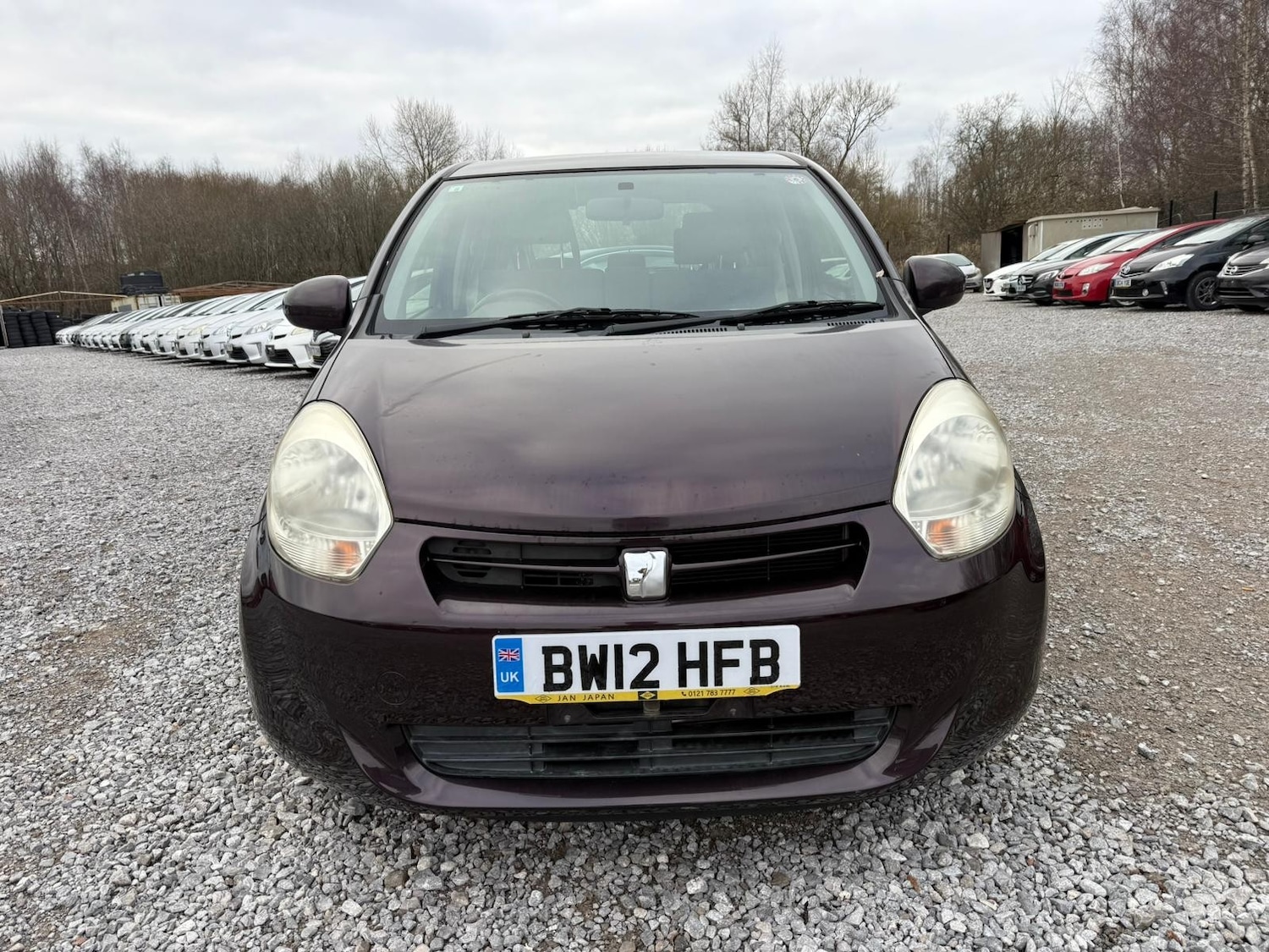 Used Toyota Passo for sale - 77072136: Photo 8