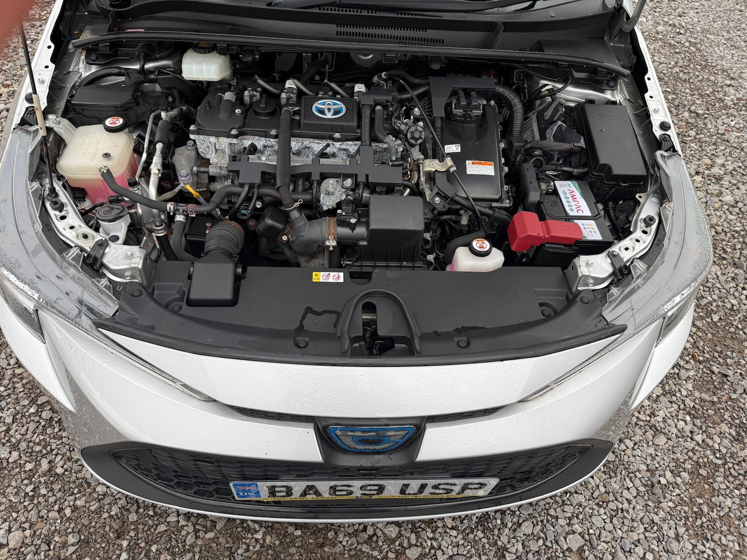 Used Toyota Corolla for sale - 76526923: Photo 21