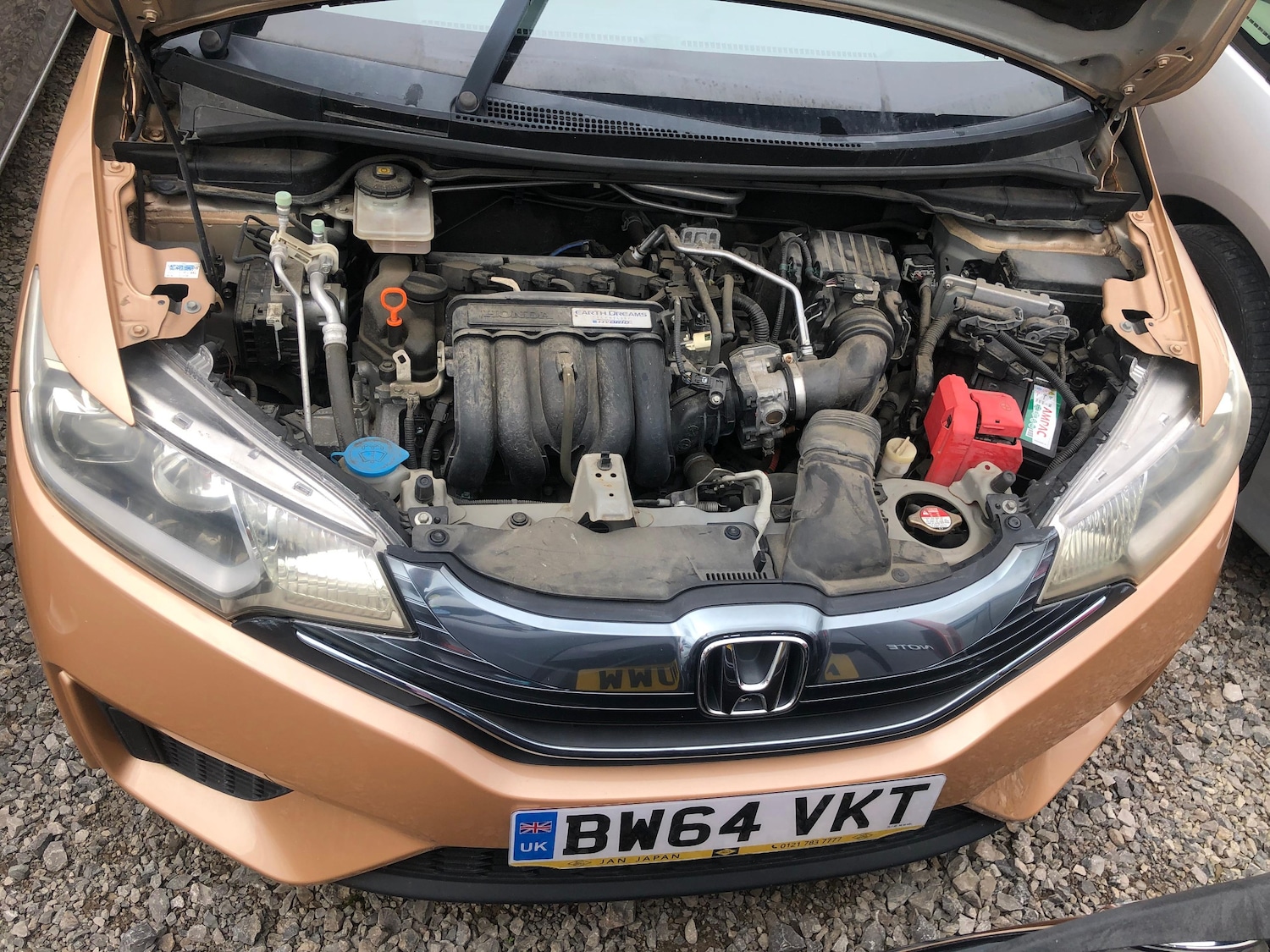 Used Honda Fit 2025 for sale - 76980012: Photo 18