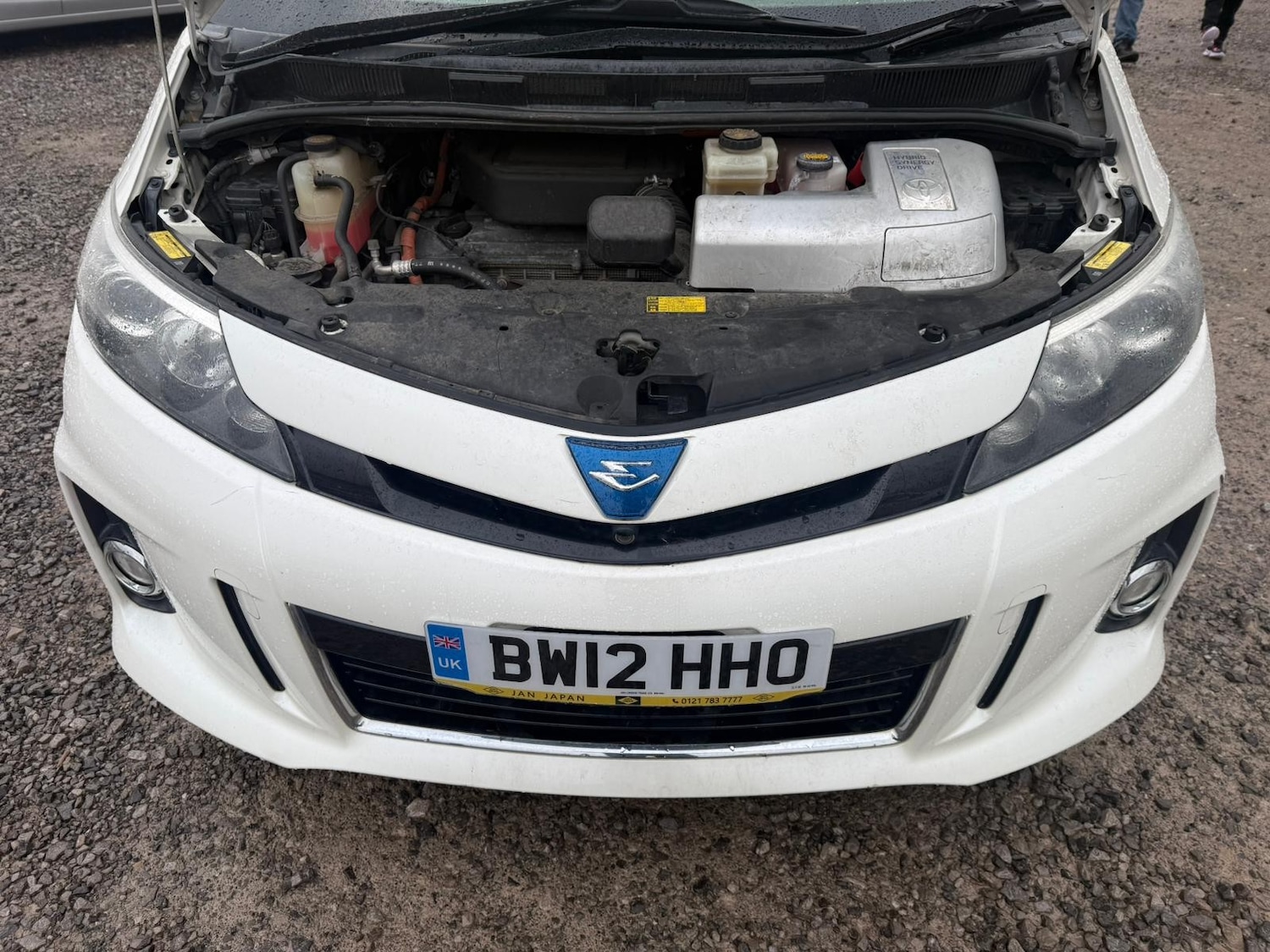 Used Toyota Estima for sale - 77563654: Photo 21