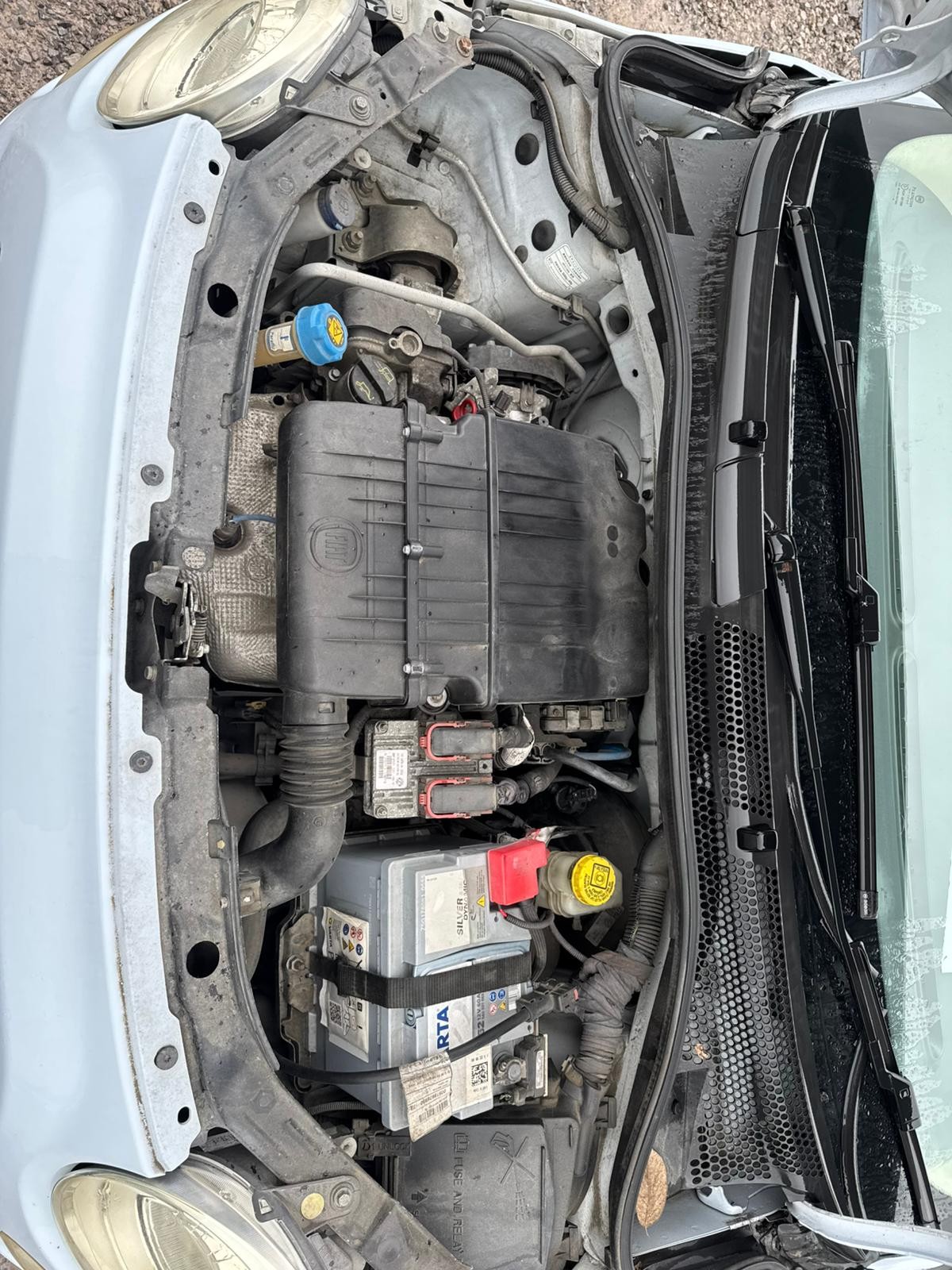 Used Fiat 500 2026 for sale - 77293585: Photo 15