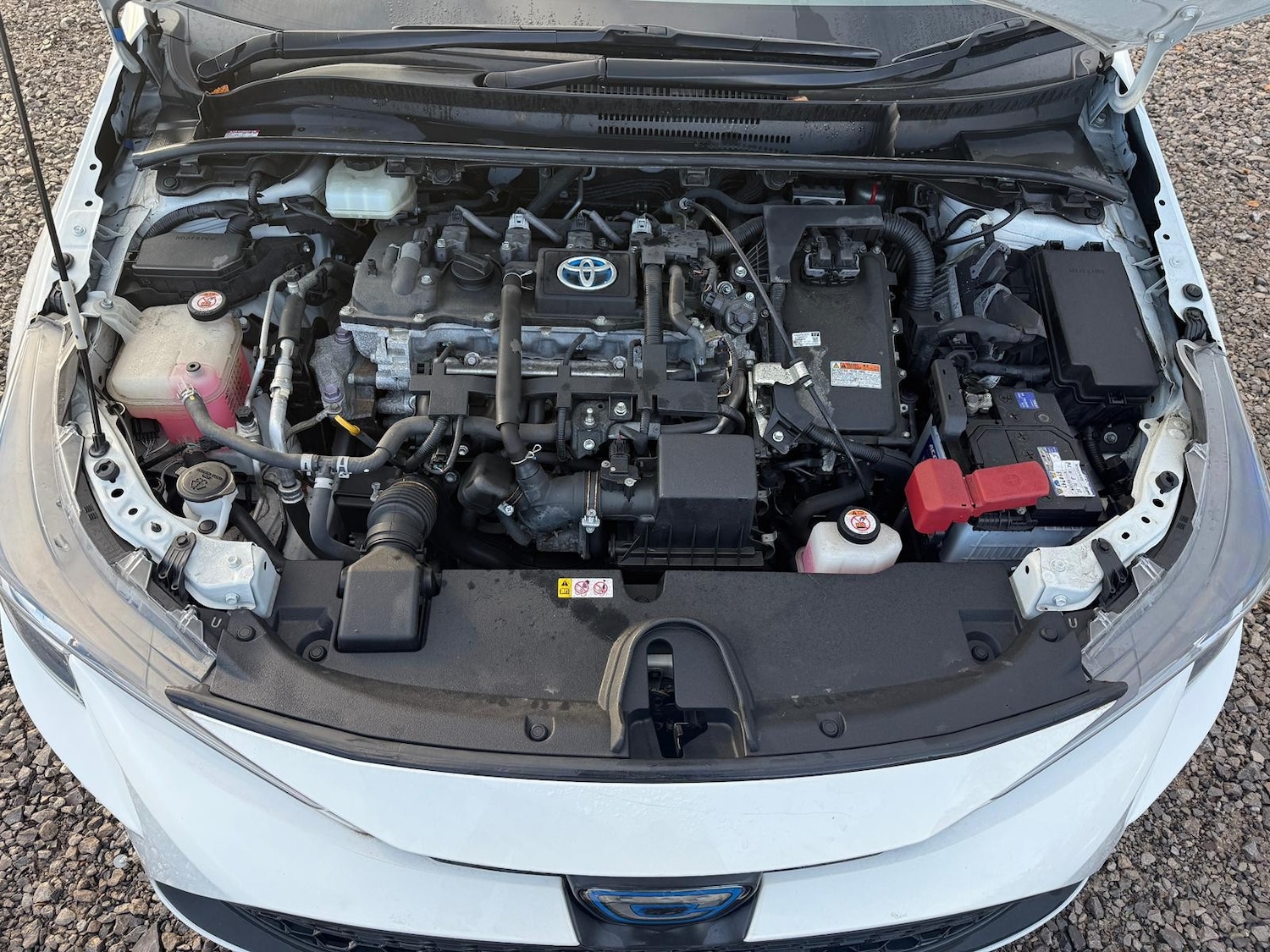 Used Toyota Corolla 2025 for sale - 76739363: Photo 19