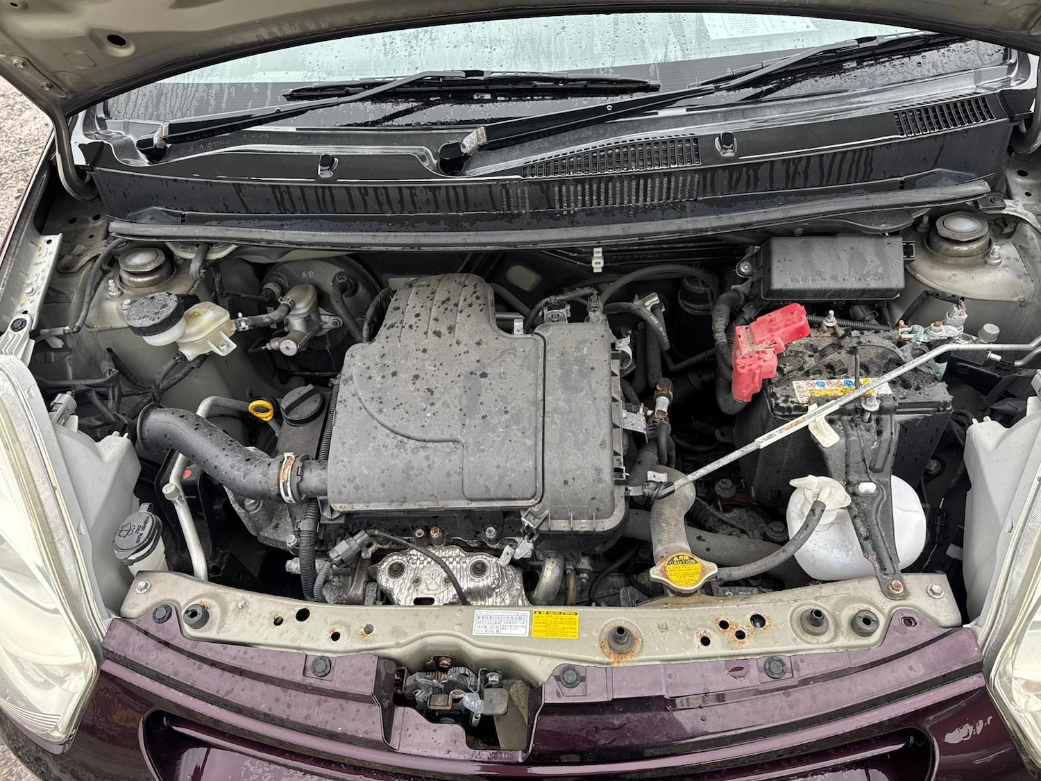 Used Toyota Passo 2026 for sale - 77293571: Photo 18