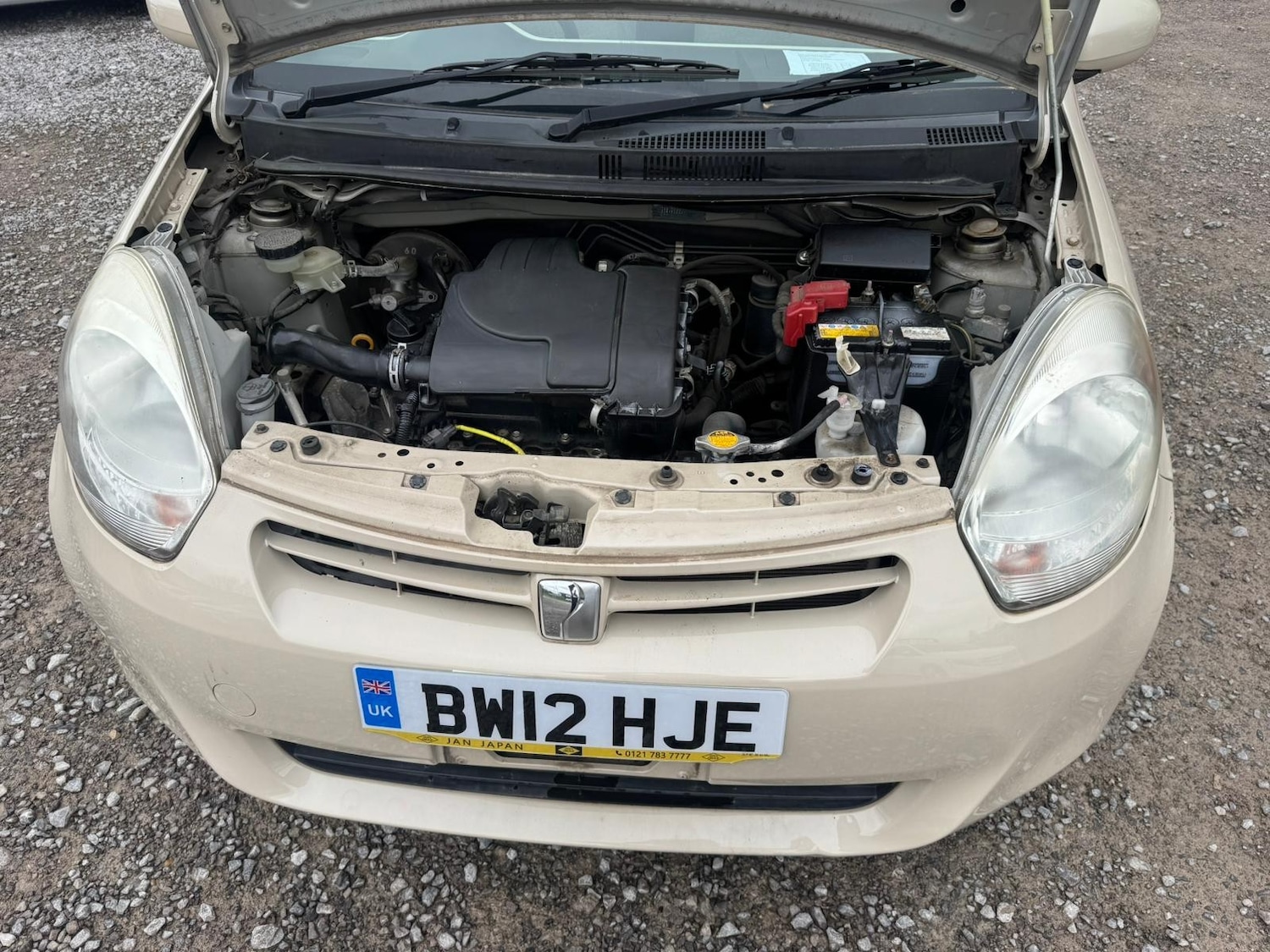 Used Toyota Passo for sale - 77789642: Photo 17