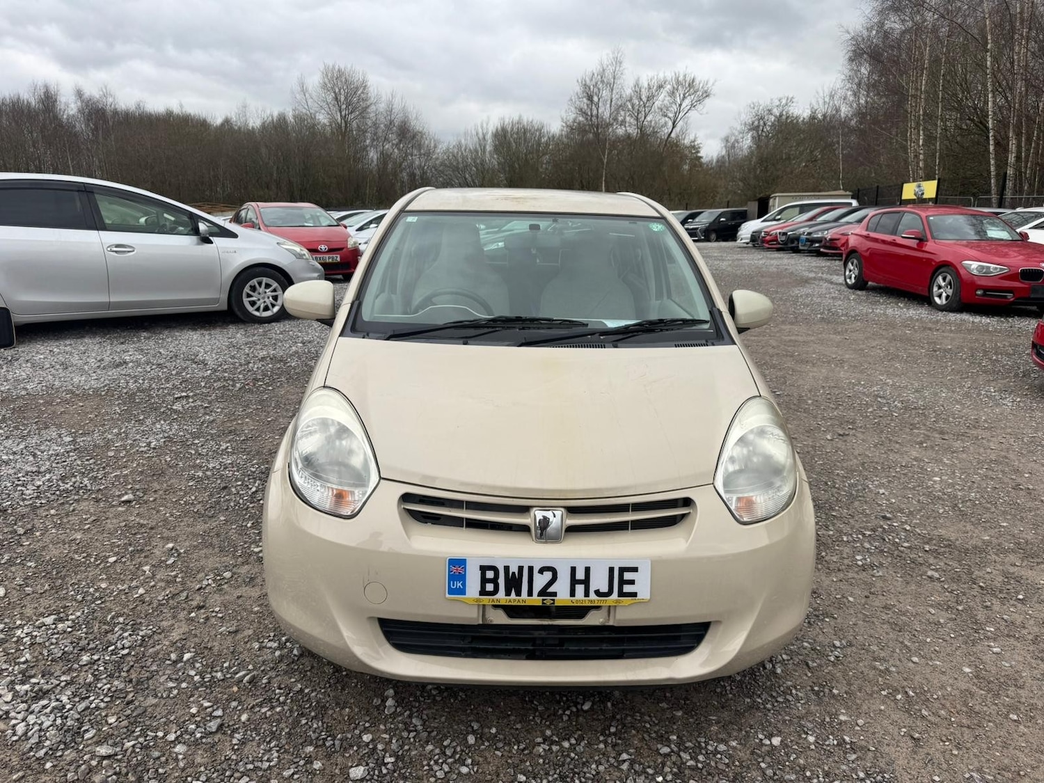 Used Toyota Passo for sale - 77789642: Photo 8