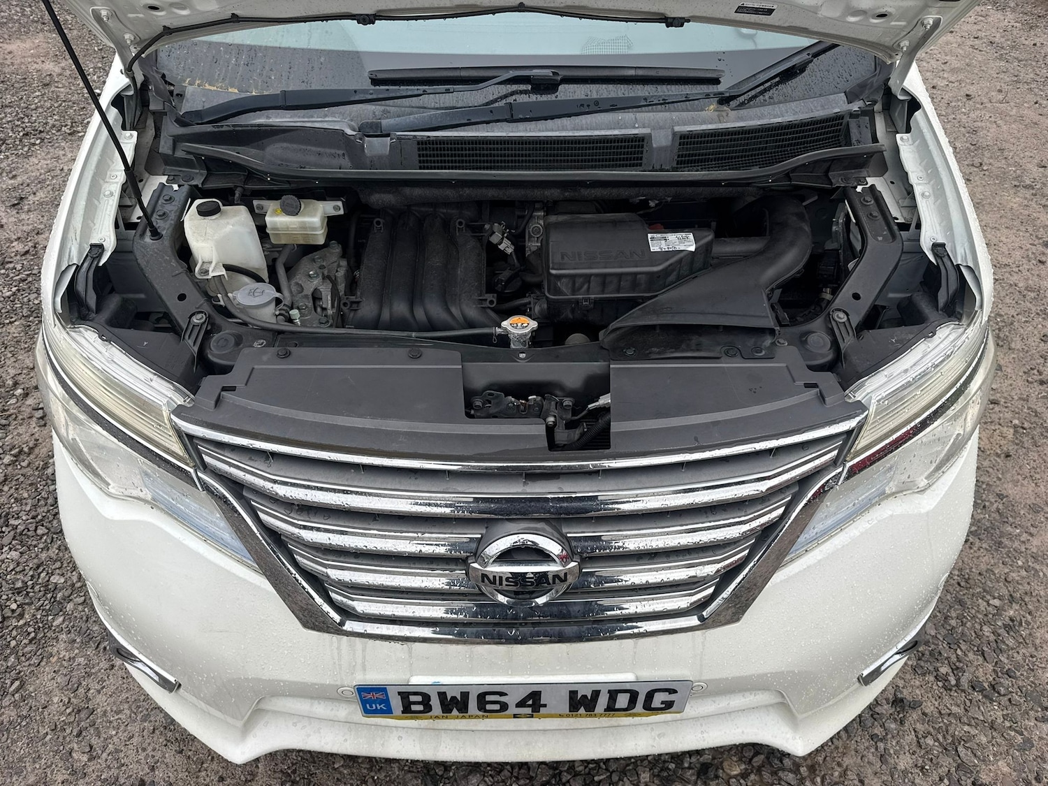 Used Nissan Serena for sale - 77483287: Photo 19