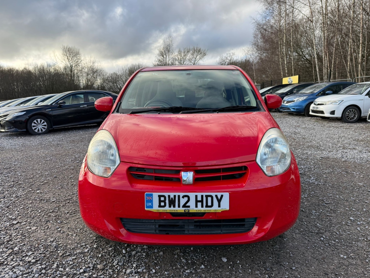 Used Toyota Passo 2025 for sale - 77020262: Photo 9