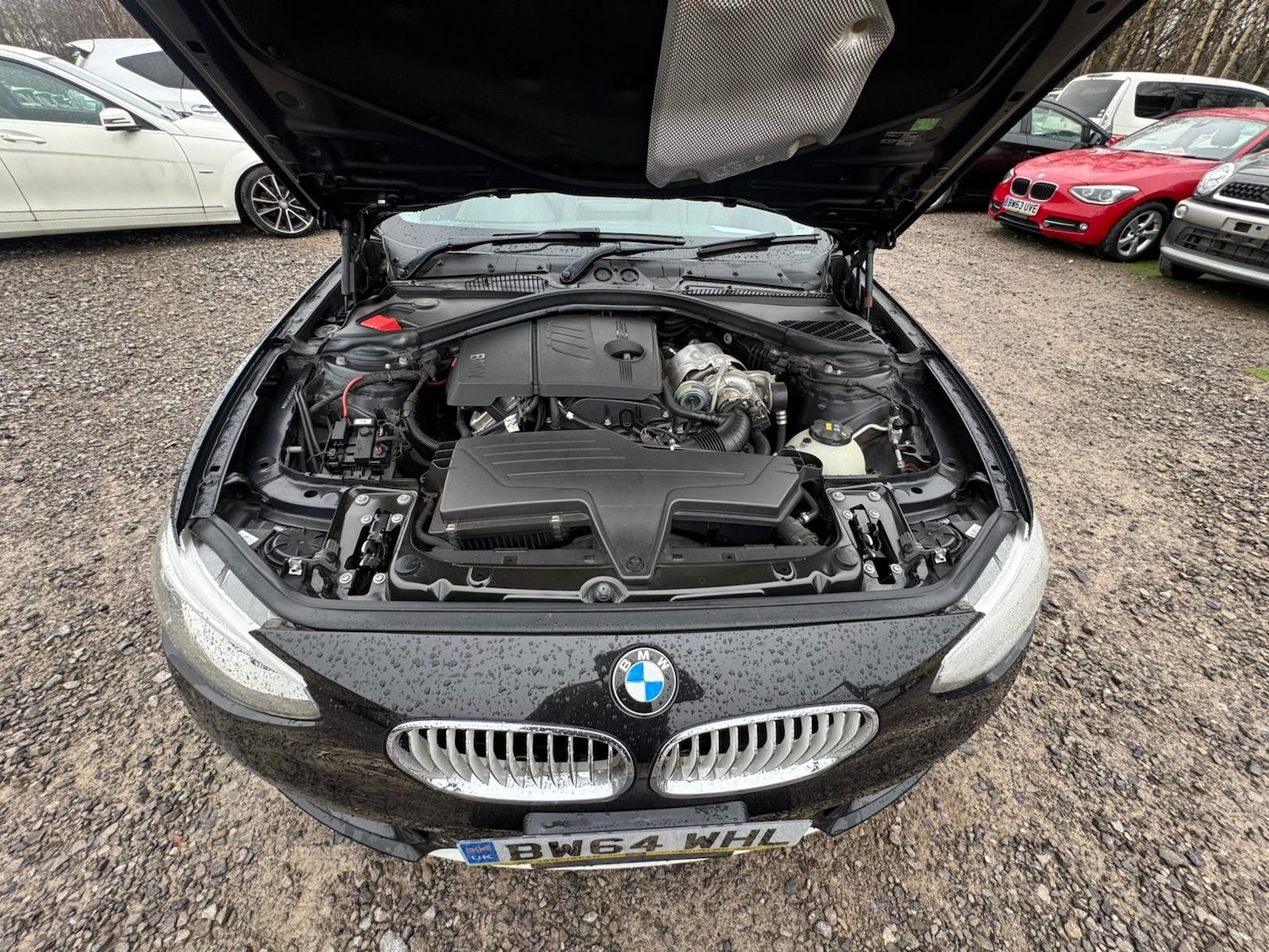 Used BMW 1 Series for sale - 77779468: Photo 17