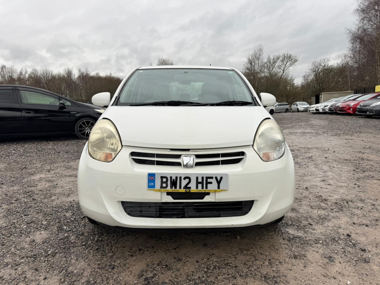 Used Toyota Passo 2026 for sale - 77293573: Photo 8