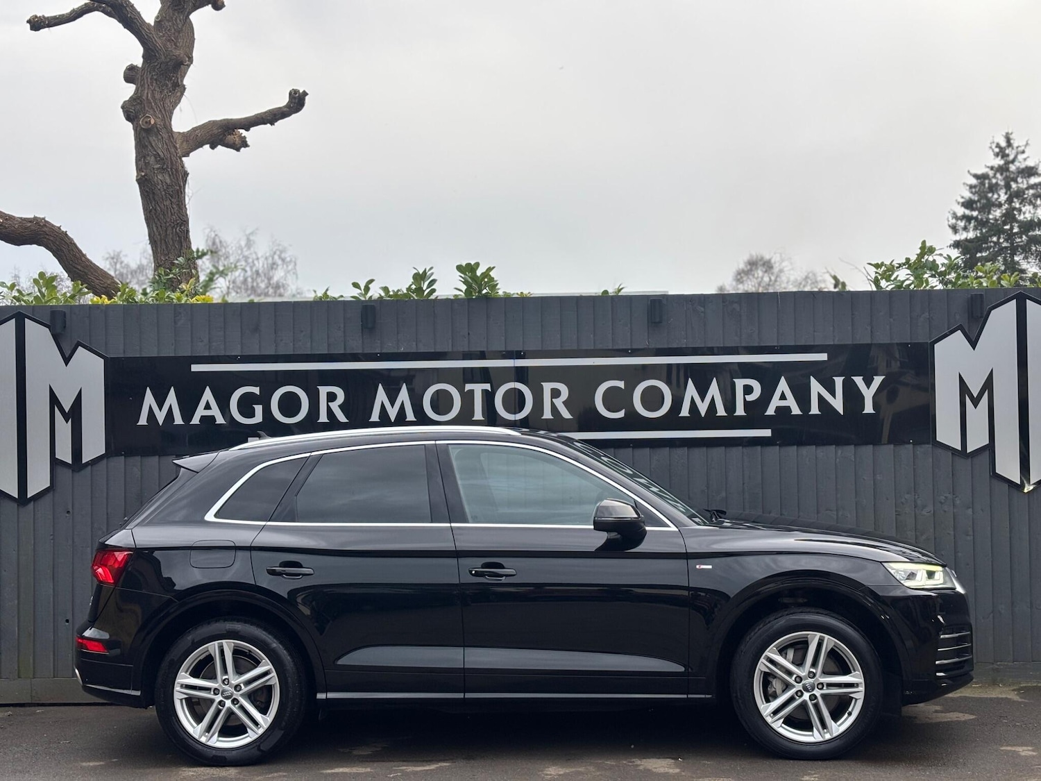 Used Audi Q5 2019 for sale - 77783802: Photo 2