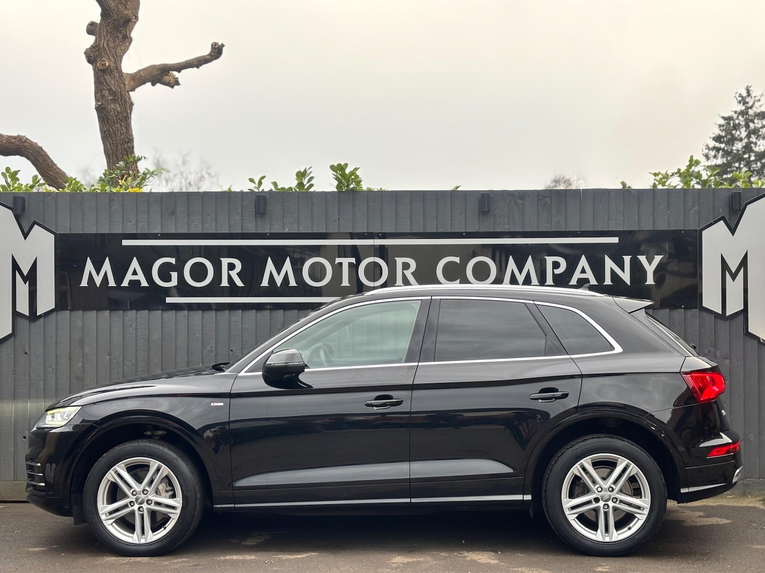 Used Audi Q5 2019 for sale - 77783802: Photo 5