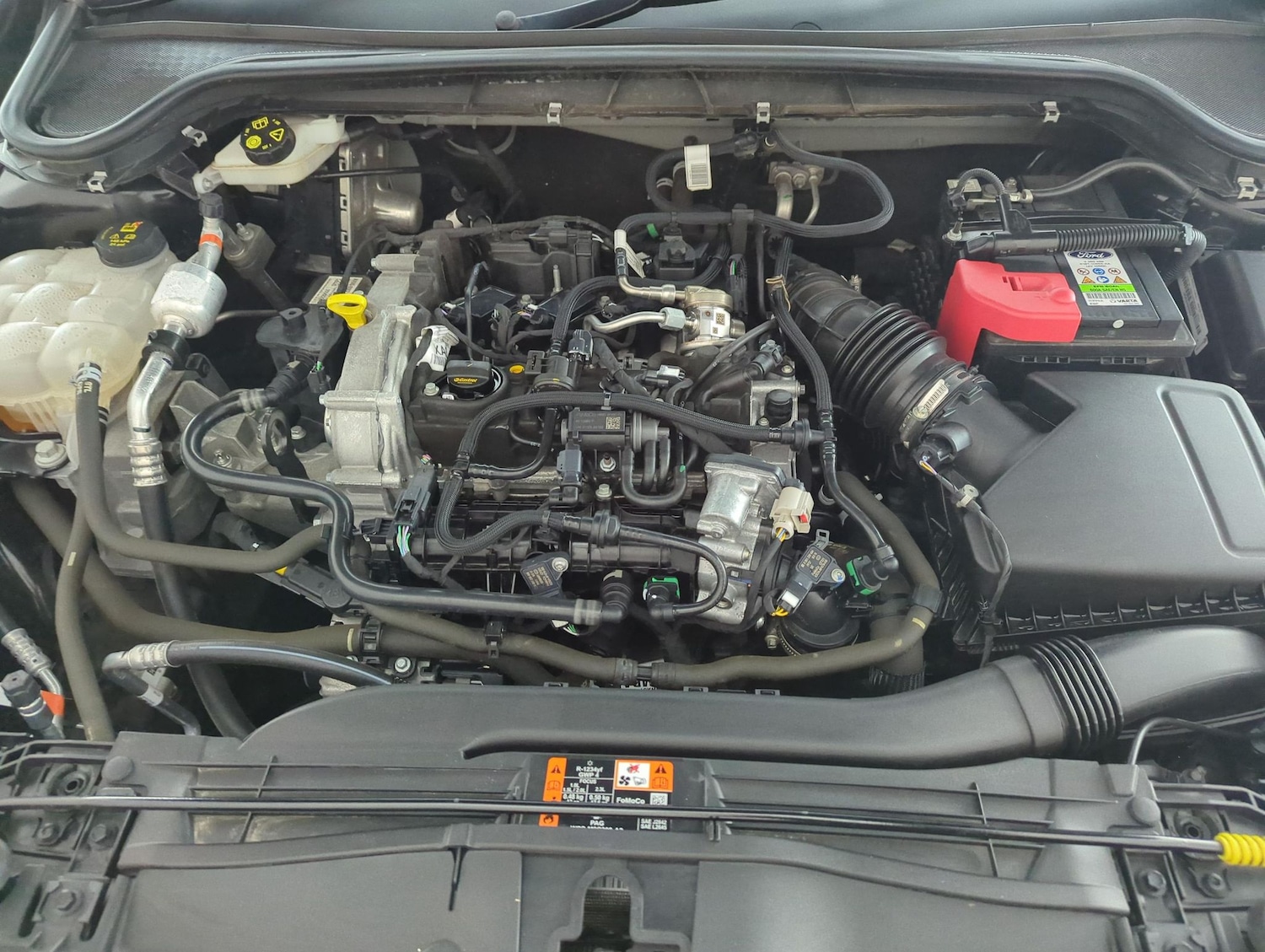 Used Ford Focus 2024 for sale - 77795388: Photo 33