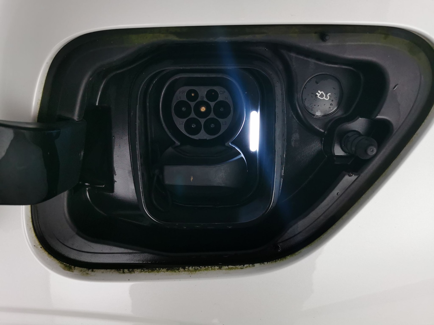 Used Polestar Polestar 2 2023 for sale - 77819396: Photo 32