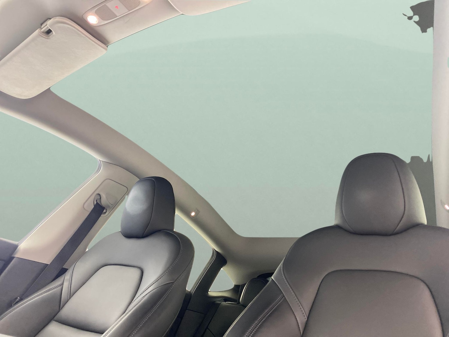 Used Tesla Model Y 2023 for sale - 77918328: Photo 5