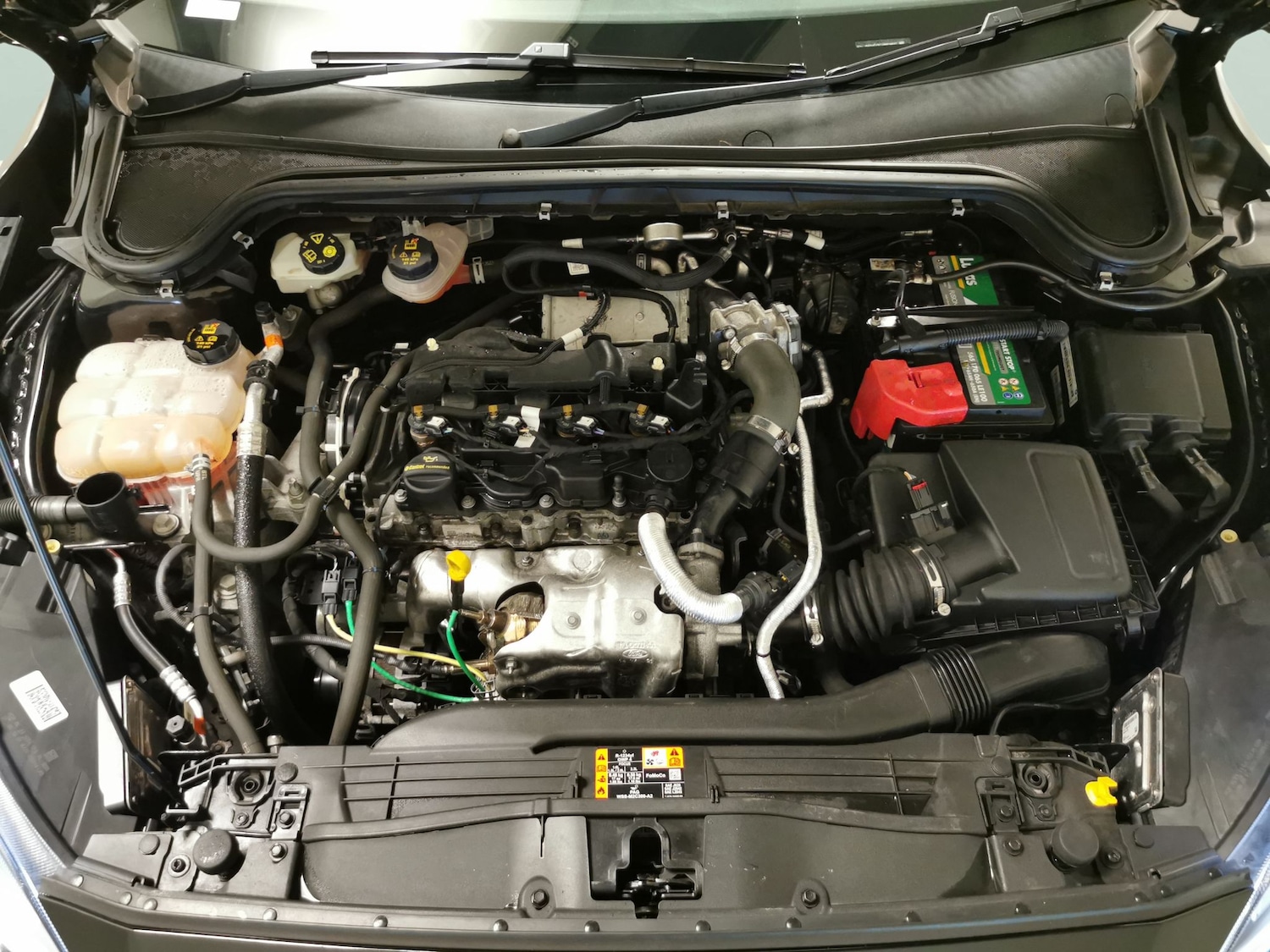 Used Ford Focus 2021 for sale - 77393705: Photo 31