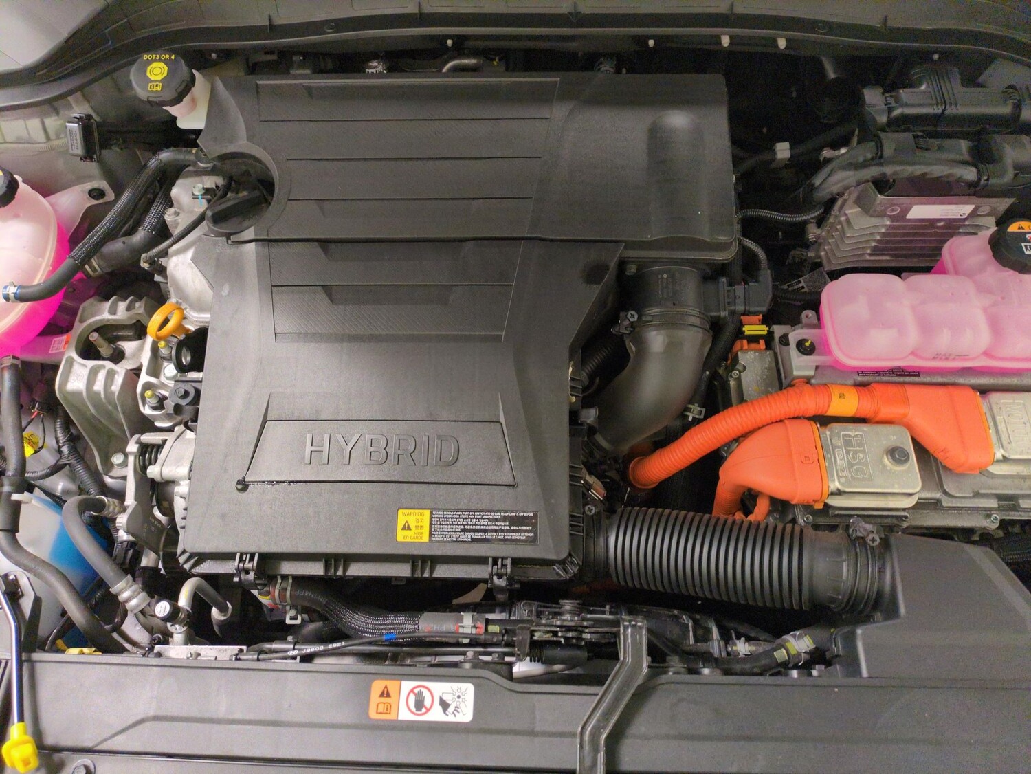 Used Hyundai KONA 2023 for sale - 77447924: Photo 30