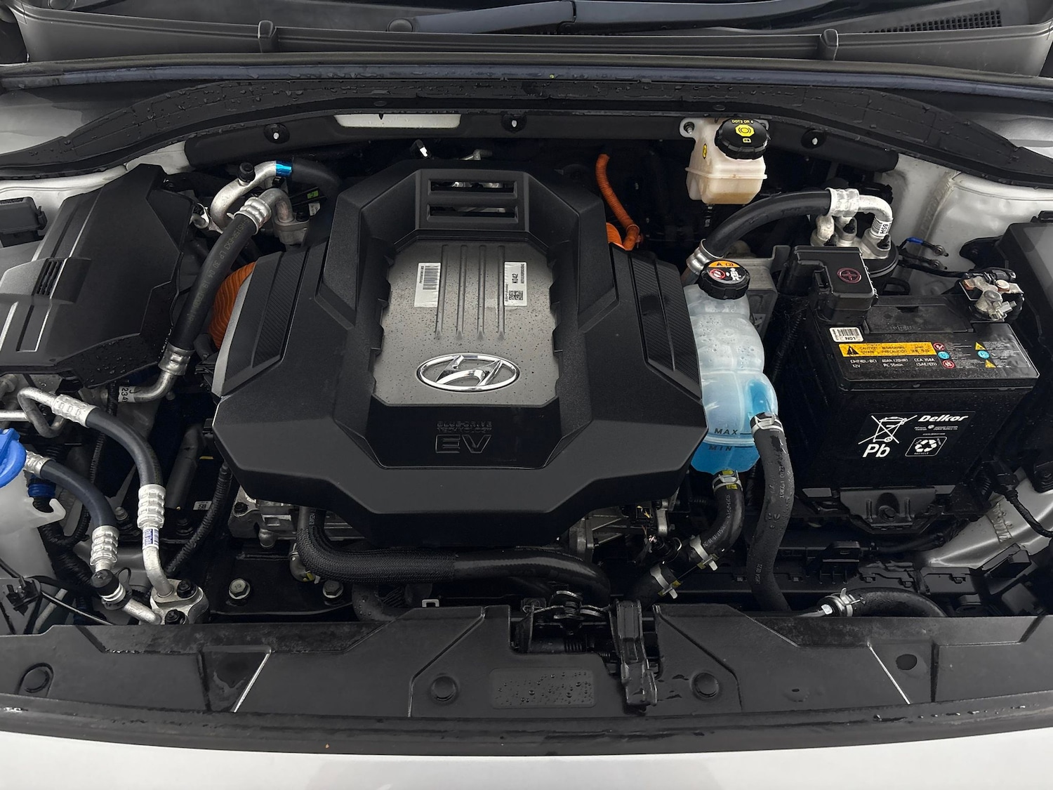 Used Hyundai IONIQ 2019 for sale - 76384823: Photo 50