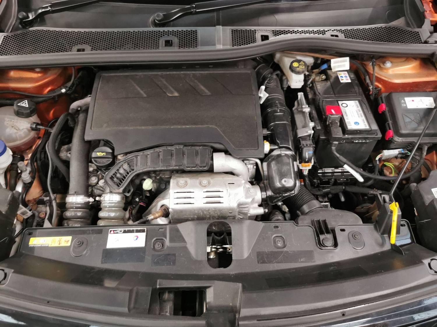 Used Peugeot 2008 2023 for sale - 77307947: Photo 37