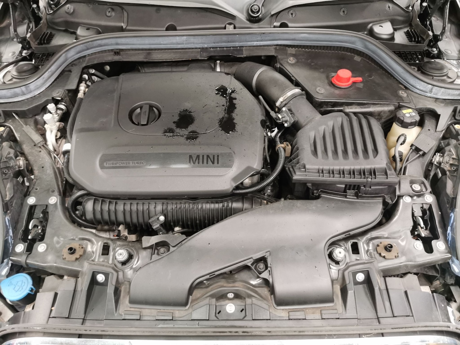 Used MINI Hatch 2018 for sale - 77043360: Photo 29