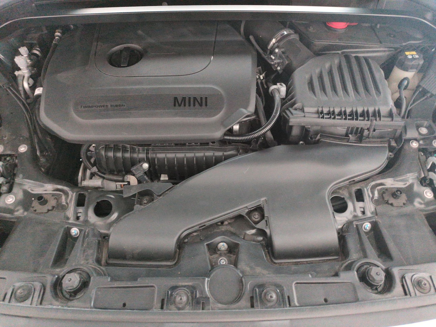 Used MINI Countryman for sale - 77232633: Photo 31