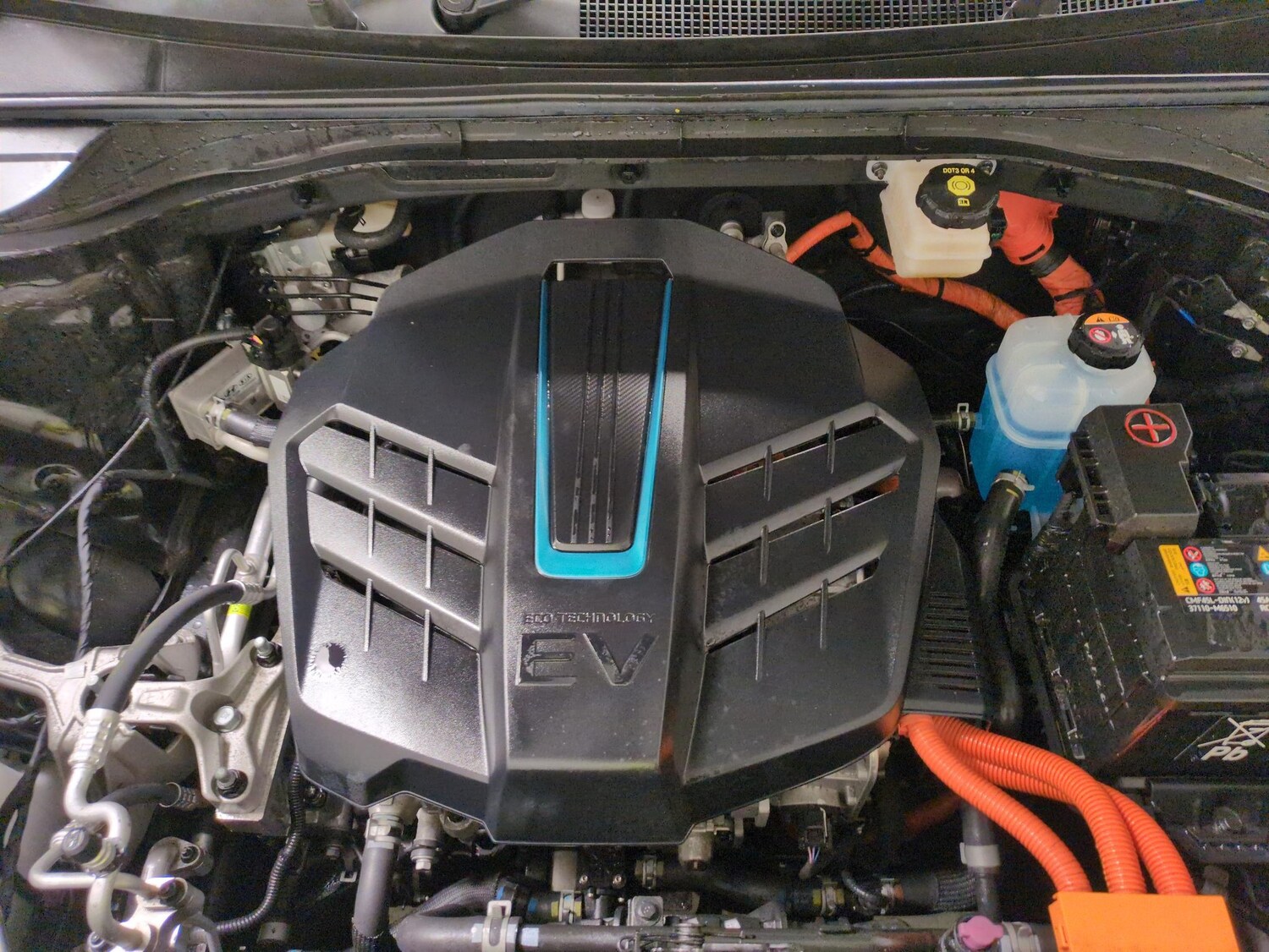 Used Kia Niro 2022 for sale - 77676010: Photo 33