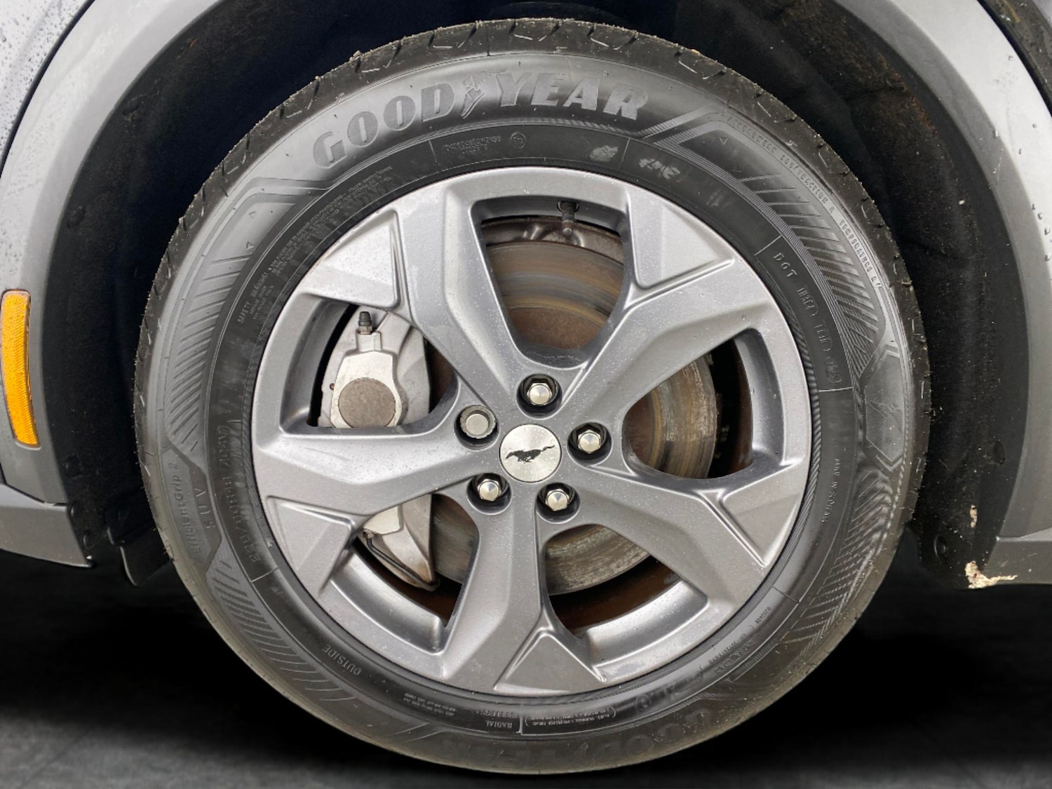 Used Ford Mustang Mach-E 2022 for sale - 77281400: Photo 22