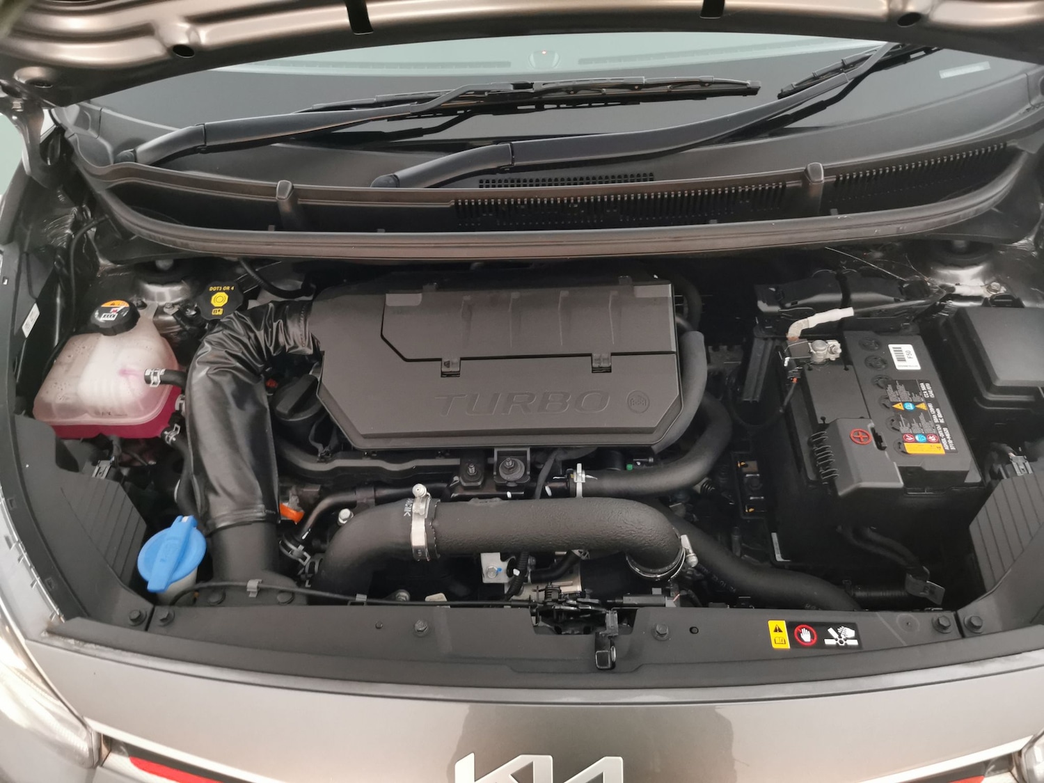 Used Kia Picanto for sale - 77061957: Photo 24