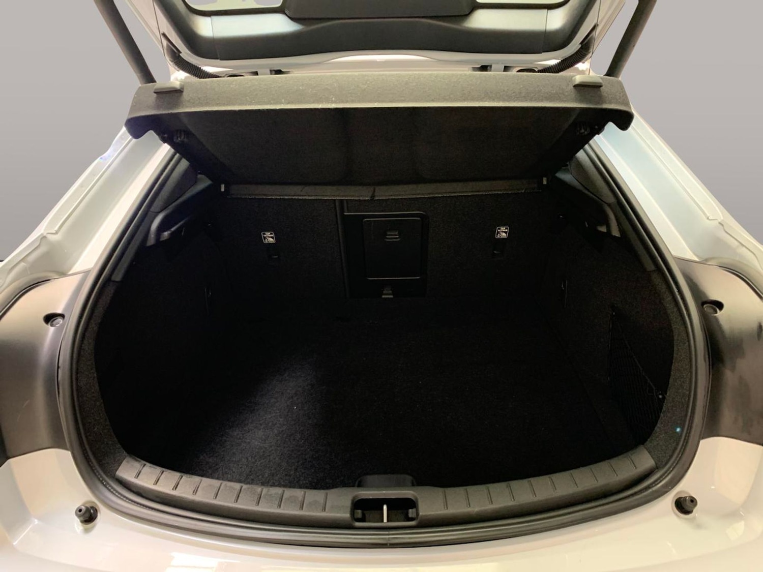 Used Polestar Polestar 2 2023 for sale - 77167407: Photo 31