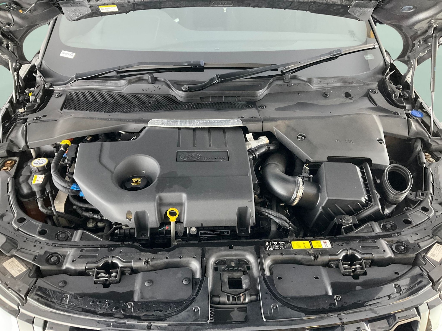 Used Land Rover Range Rover Evoque 2021 for sale - 77047977: Photo 36