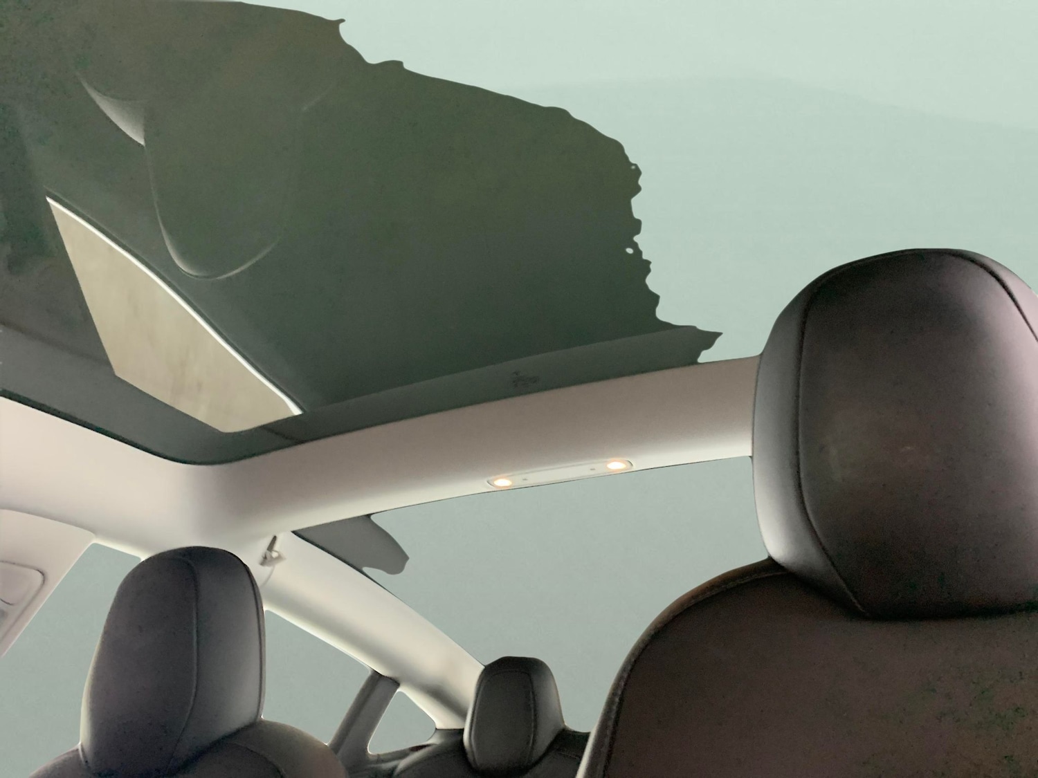 Used Tesla Model 3 2021 for sale - 77043702: Photo 5