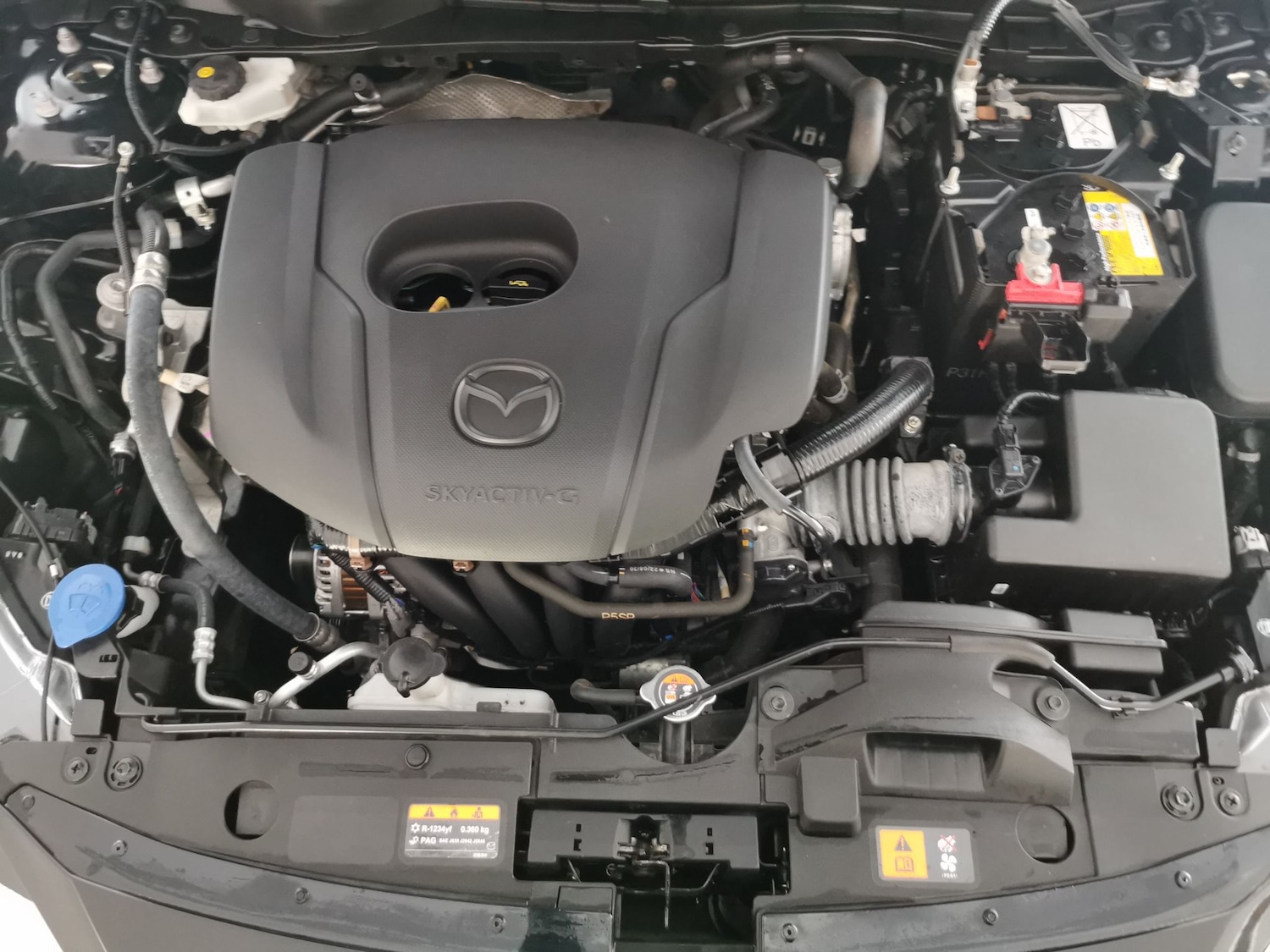 Used Mazda Mazda2 2023 for sale - 77988716: Photo 31