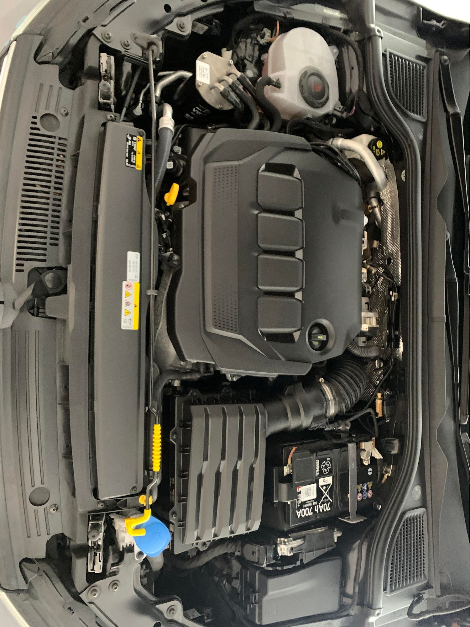 Used Volkswagen Golf 2024 for sale - 77135182: Photo 29