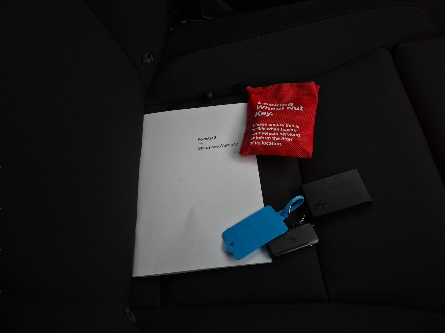 Used Polestar Polestar 2 2022 for sale - 77819380: Photo 39