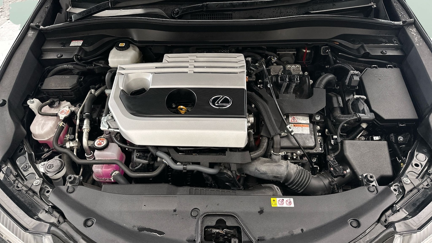 Used Lexus UX 2023 for sale - 77025740: Photo 19