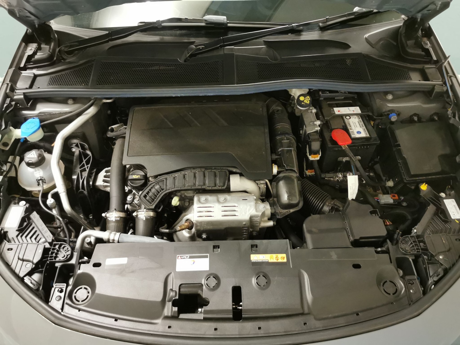 Used Peugeot 308 2023 for sale - 77159719: Photo 30