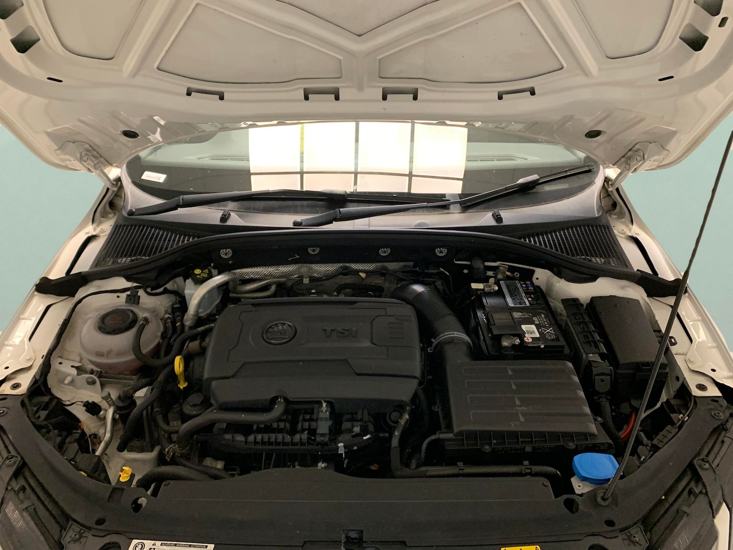 Used Skoda Octavia 2019 for sale - 76862131: Photo 31