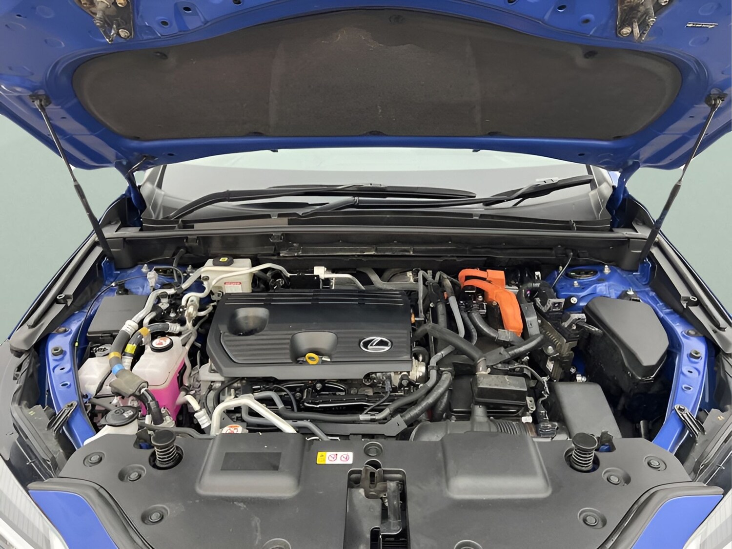 Used Lexus NX for sale - 76999983: Photo 37