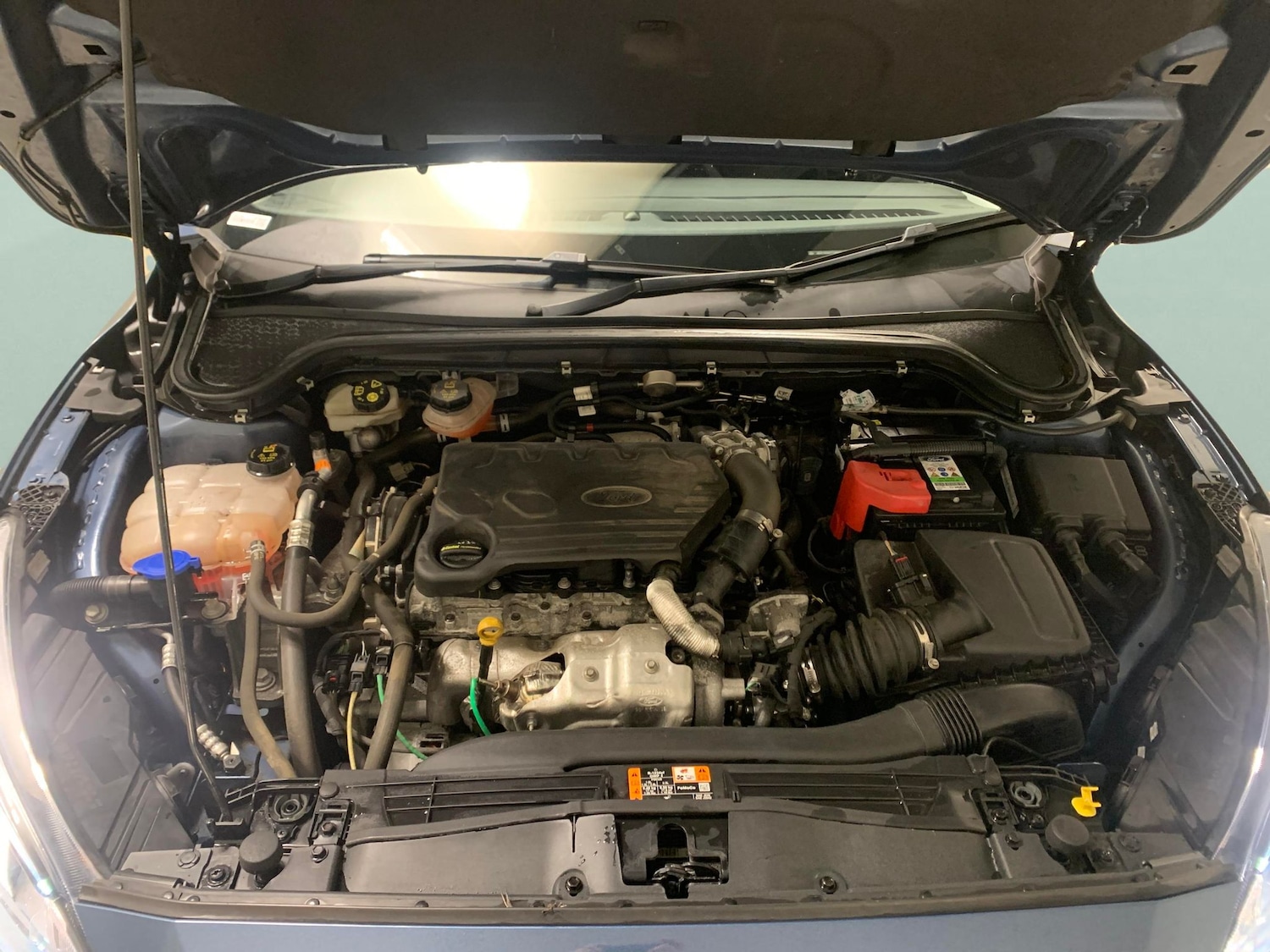 Used Ford Focus 2019 for sale - 77241248: Photo 29