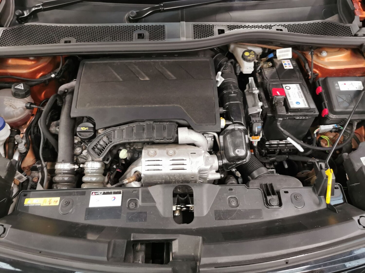 Used Peugeot 2008 2023 for sale - 77435483: Photo 37