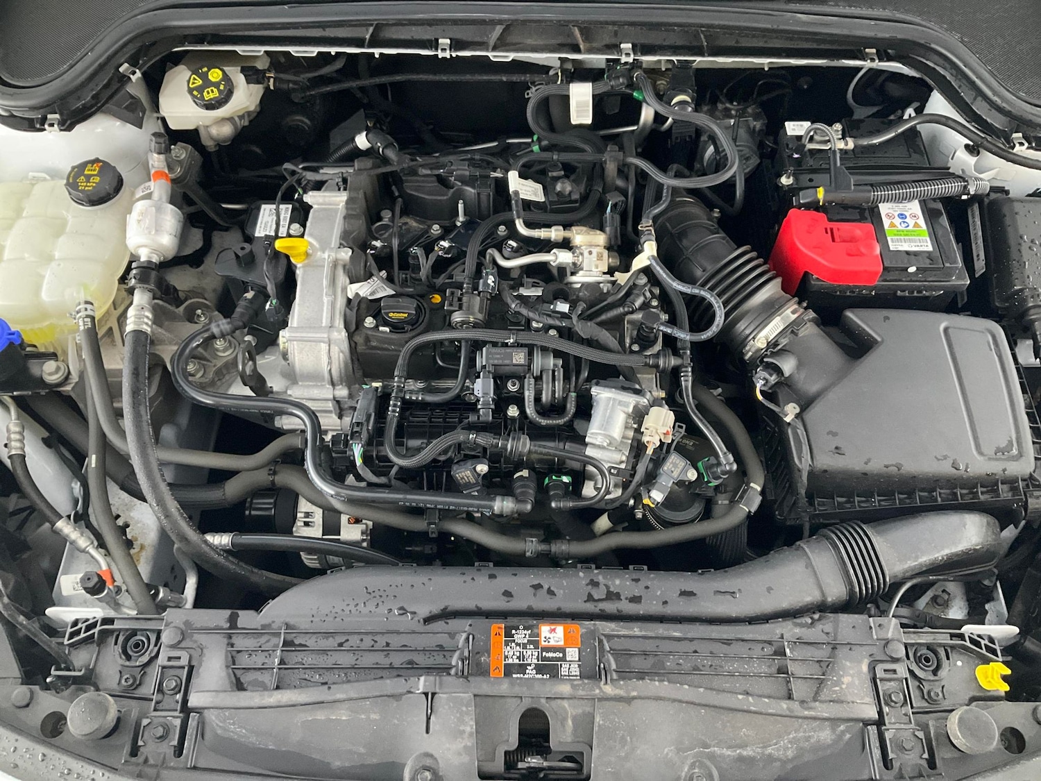 Used Ford Focus 2023 for sale - 76209871: Photo 46