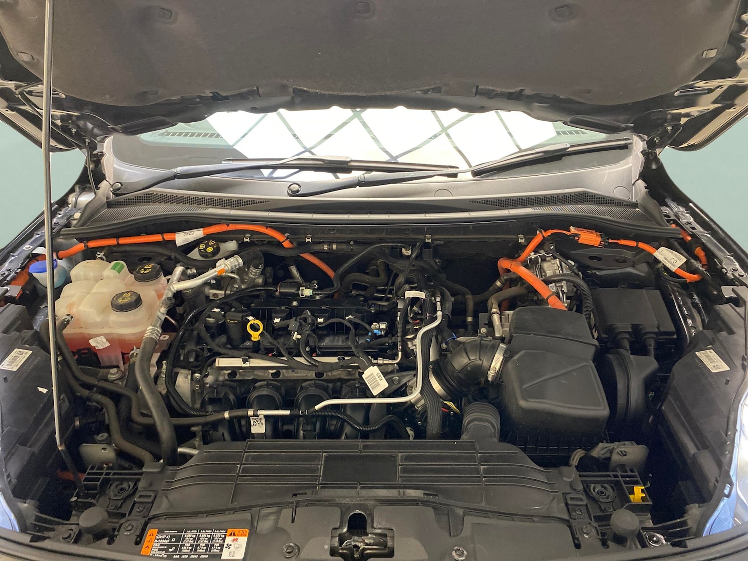 Used Ford Kuga 2022 for sale - 77702976: Photo 31