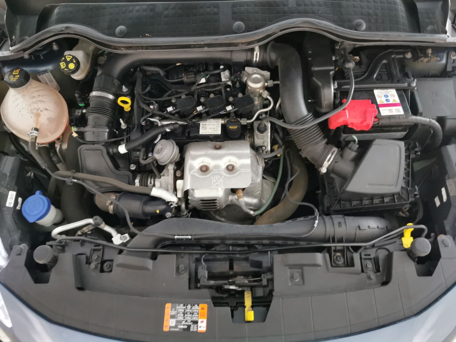 Used Ford Fiesta 2023 for sale - 77240637: Photo 31