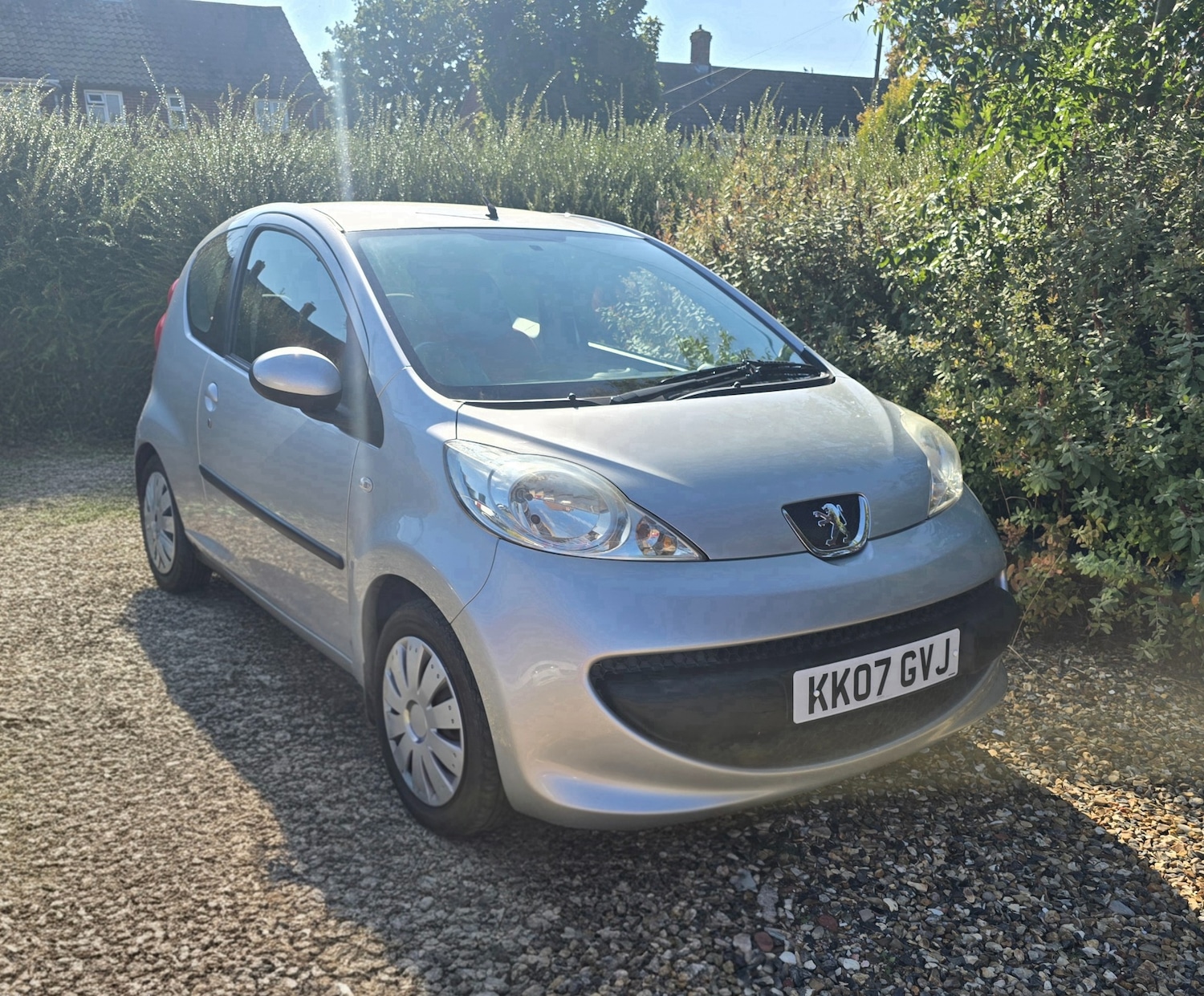 Vehicle 1