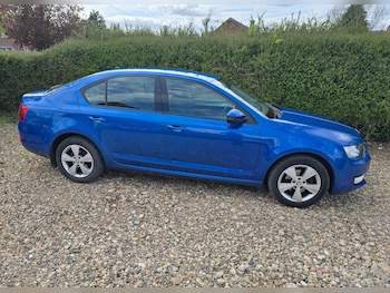 Used Skoda Octavia 2016 for sale - 78290179: Photo