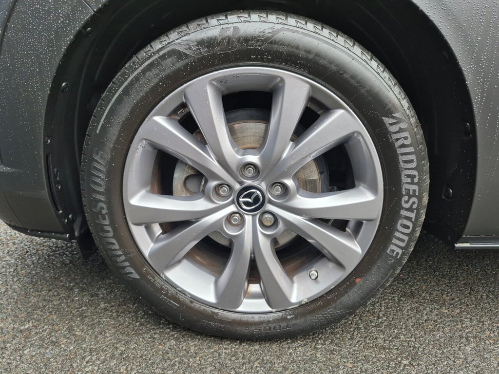 Vehicle 41