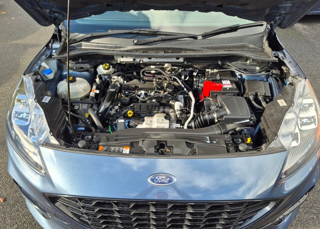 Used Ford Kuga 2021 for sale - 76313194: Photo 41