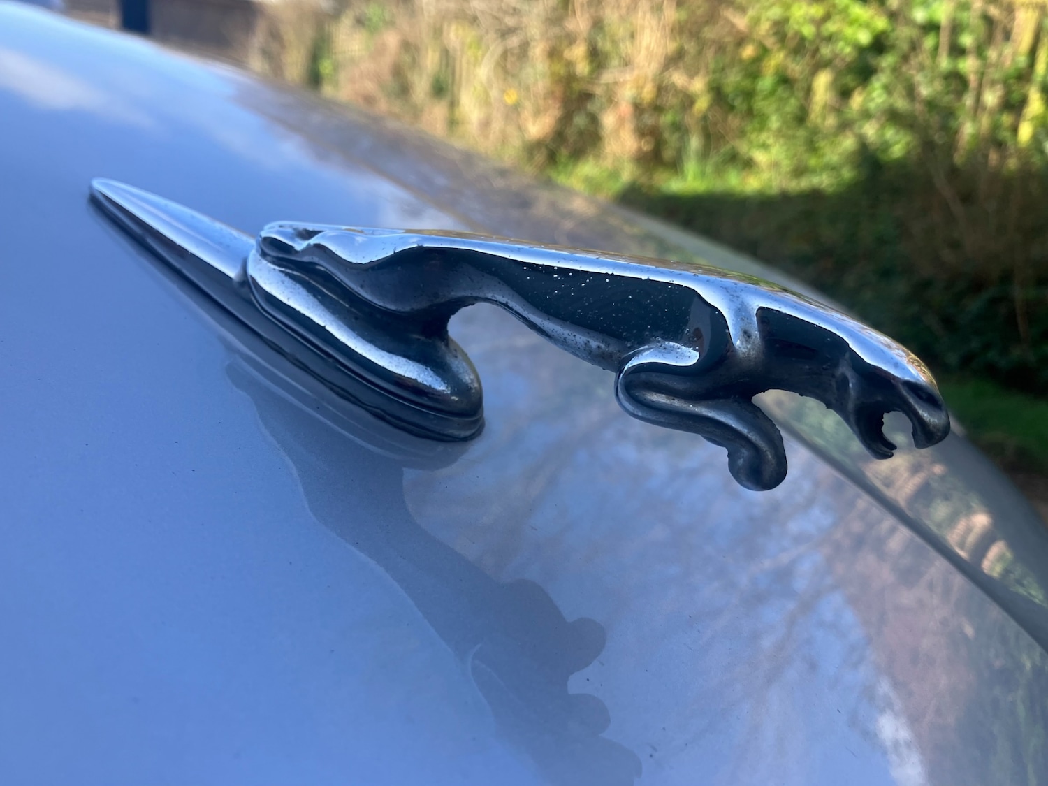 Used Jaguar X-Type 2004 for sale - 77677489: Photo 17