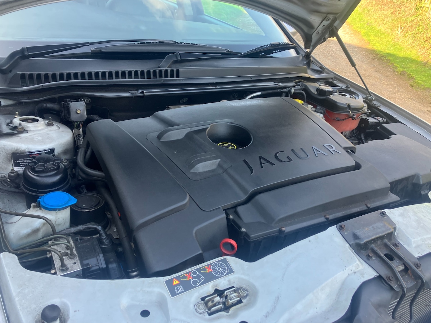 Used Jaguar X-Type 2004 for sale - 77677489: Photo 18